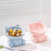 Ceramic Elevated Pet Bowl - Dear Eastern Lynn
