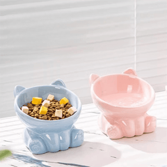 Ceramic Elevated Pet Bowl - Dear Eastern Lynn